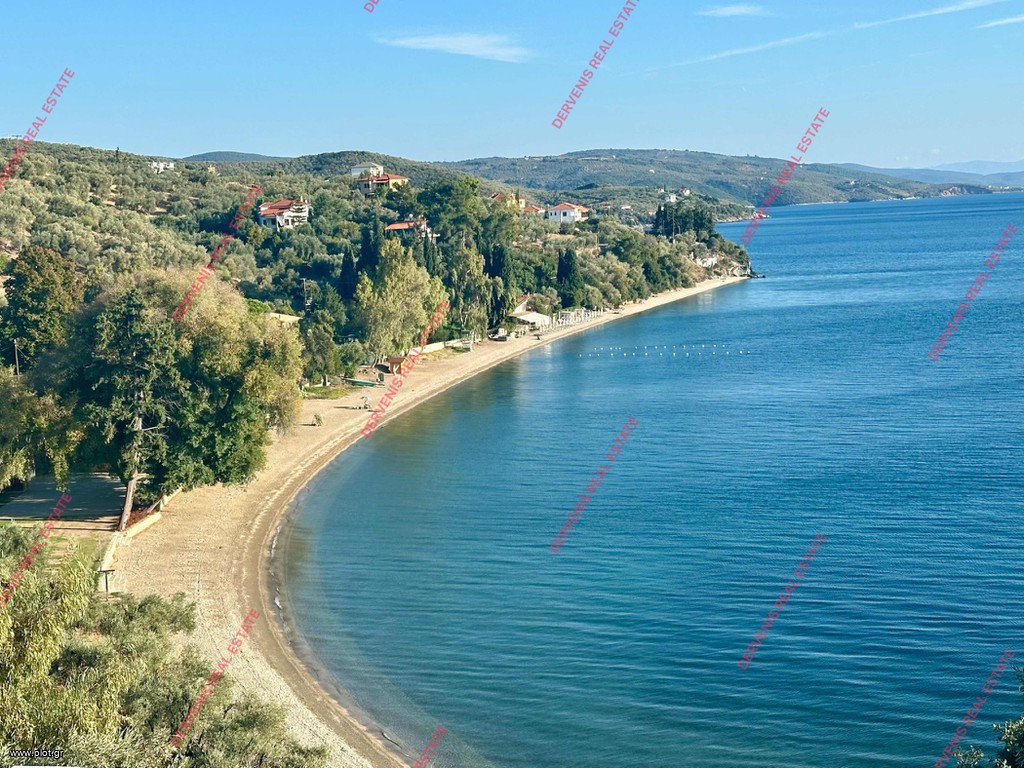 Οικόπεδο 8.500 τ.μ. πρός πώληση, Μαγνησία, Αφέτες