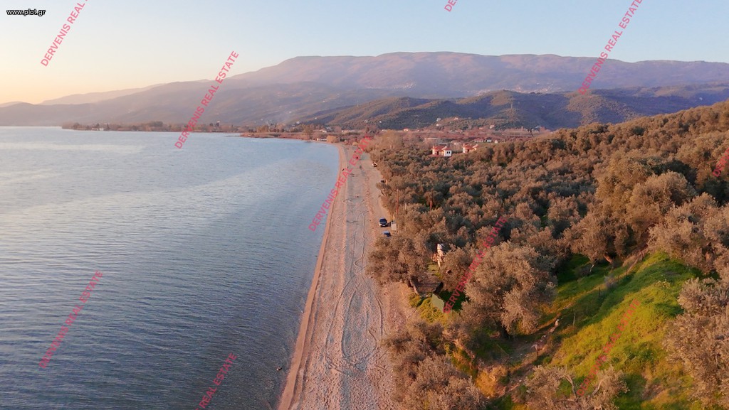 Οικόπεδο 8.500 τ.μ. πρός πώληση, Μαγνησία, Αφέτες