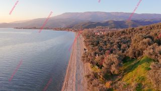 Οικόπεδο 8.500 τ.μ. για πώληση