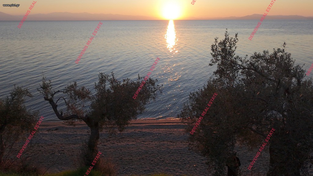 Οικόπεδο 8.500 τ.μ. πρός πώληση, Μαγνησία, Αφέτες