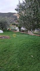 Αγροτεμάχια 600 τ.μ. για πώληση