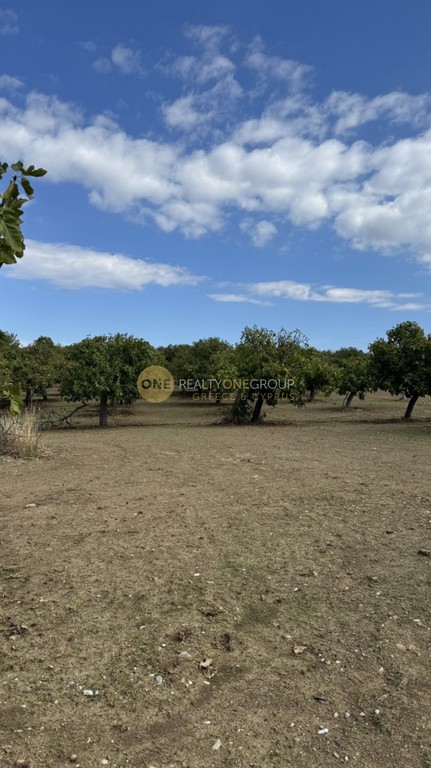 Αγροτεμάχια 600 τ.μ. προς πώληση, Αγιόκαμπος Αιδηψού