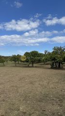 Αγροτεμάχια 600 τ.μ. προς πώληση, Αγιόκαμπος Αιδηψού-thumb-7