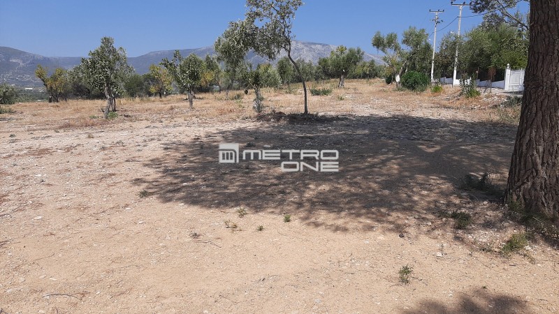 Οικόπεδο 11.000 τ.μ. προς ενοικίαση, Αθήνα - Ανατολικά Προάστια, Κορωπί