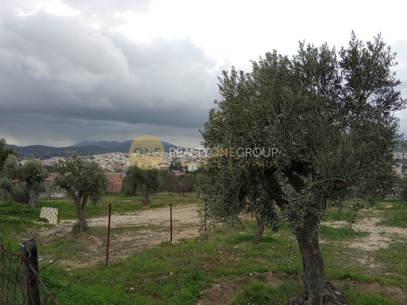 Οικόπεδο 11.000 τ.μ. προς ενοικίαση, Αθήνα - Ανατολικά Προάστια, Κορωπί