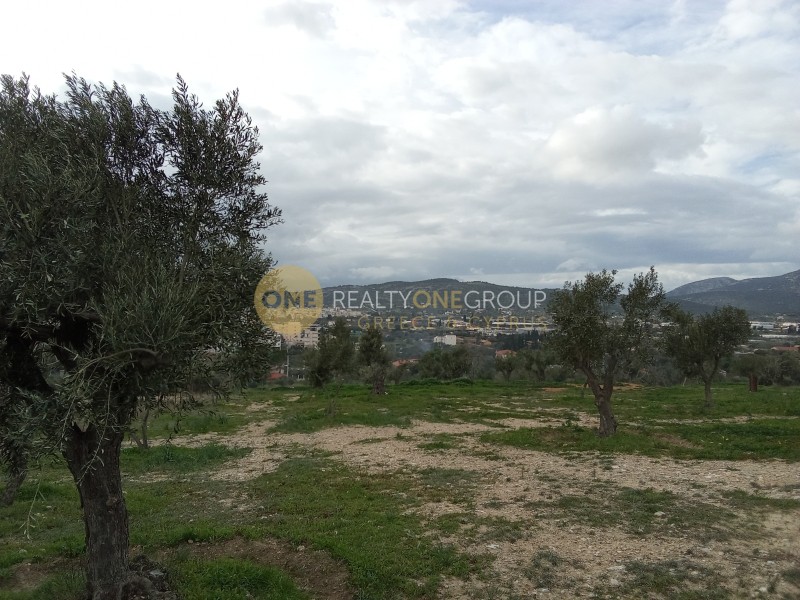 Οικόπεδο 11.000 τ.μ. προς ενοικίαση, Αθήνα - Ανατολικά Προάστια, Κορωπί