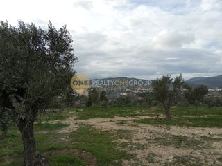 Οικόπεδο 11.000 τ.μ. για ενοικίαση