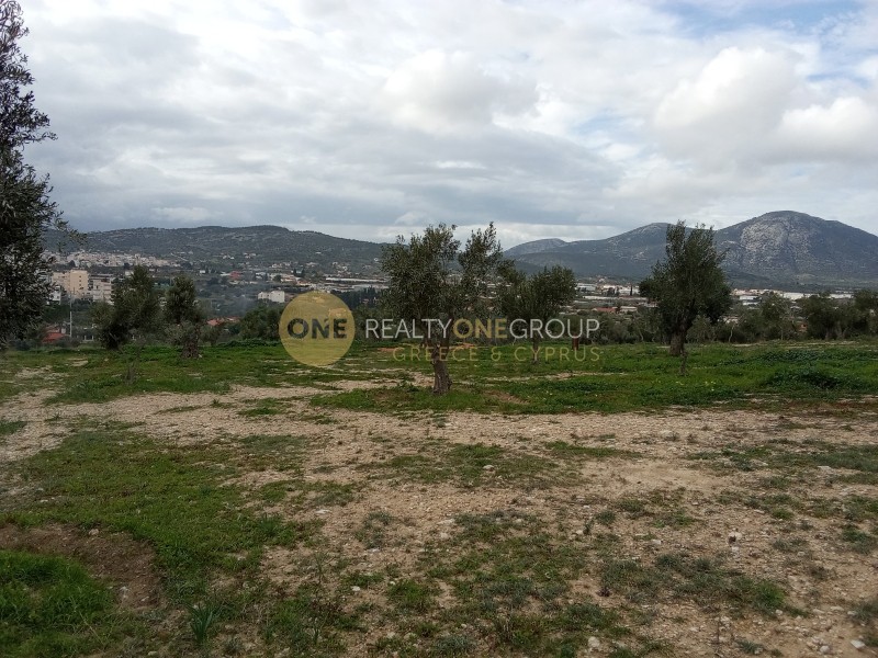 Οικόπεδο 11.000 τ.μ. προς ενοικίαση, Αθήνα - Ανατολικά Προάστια, Κορωπί