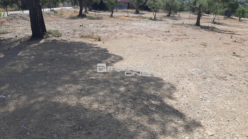 Οικόπεδο 11.000 τ.μ. προς ενοικίαση, Αθήνα - Ανατολικά Προάστια, Κορωπί