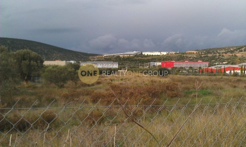 Οικόπεδο 24.000 τ.μ. προς πώληση, Αγία Τριάδα Μαρκοπούλου