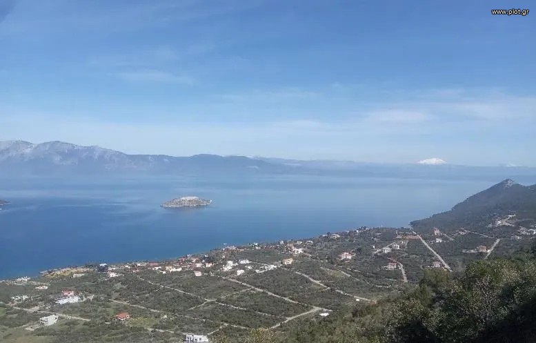 Οικόπεδο 5.016 τ.μ. προς πώληση, Σκροπονέρια Ανθηδώνος