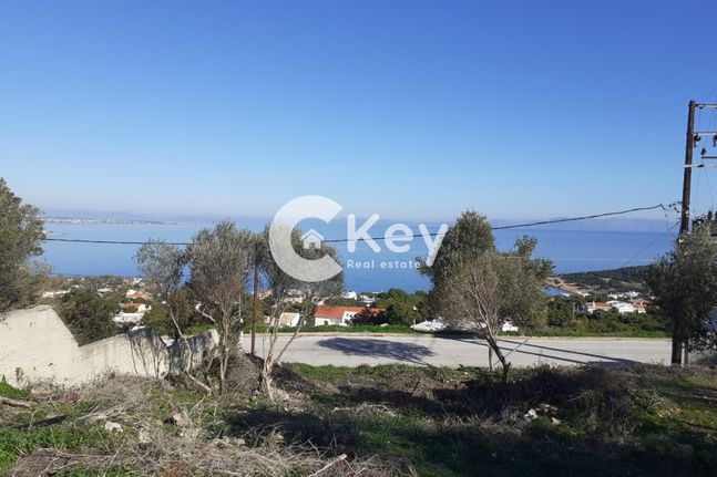 Οικόπεδο 1.236 τ.μ. για πώληση, Αττική - Υπόλοιπο, Μαρκόπουλο