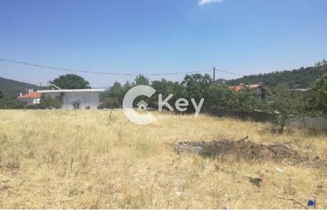 Αγροτεμάχια 1.632τ.μ. για πώληση-Βίλια » Κέντρο