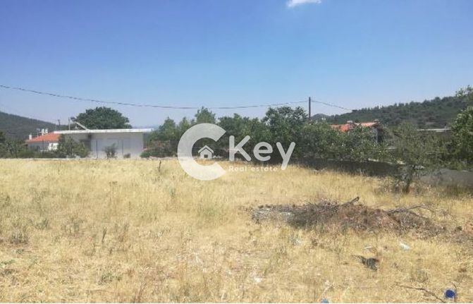 Αγροτεμάχια 1.632 τ.μ. για πώληση, Αττική - Υπόλοιπο, Βίλια