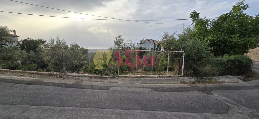 Land plot 550 sqm for sale, Patra
