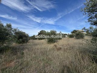 Οικόπεδο 3.899 τ.μ. για πώληση