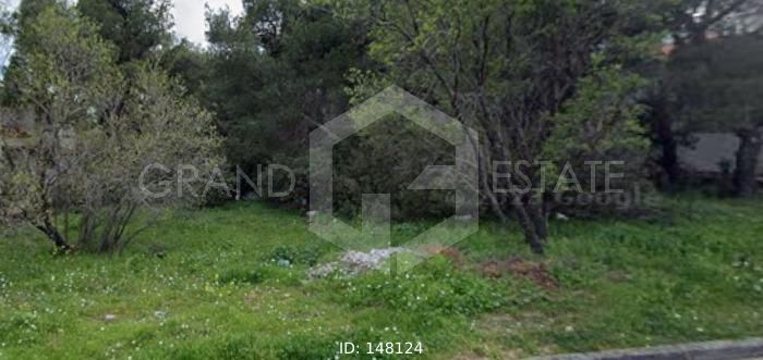 Οικόπεδο 1.015 τ.μ. προς πώληση