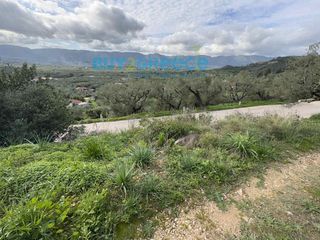 Οικόπεδο 779,05 τ.μ. για πώληση, Ζάκυνθος, Αρκάδι-thumb-3