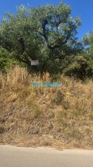 Οικόπεδο 779,05 τ.μ. για πώληση