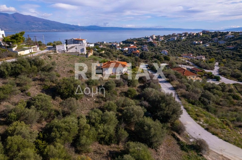 Οικόπεδο 625 τ.μ. προς πώληση, Νέες Παγασές