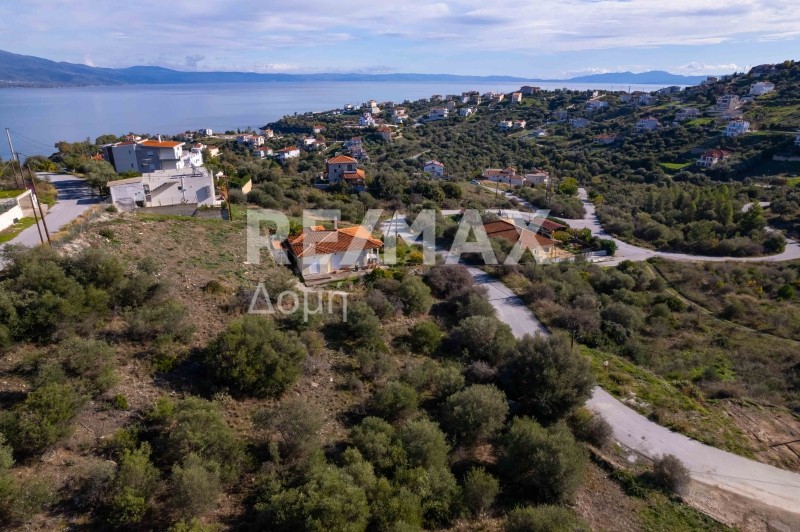 Οικόπεδο 625 τ.μ. προς πώληση, Νέες Παγασές