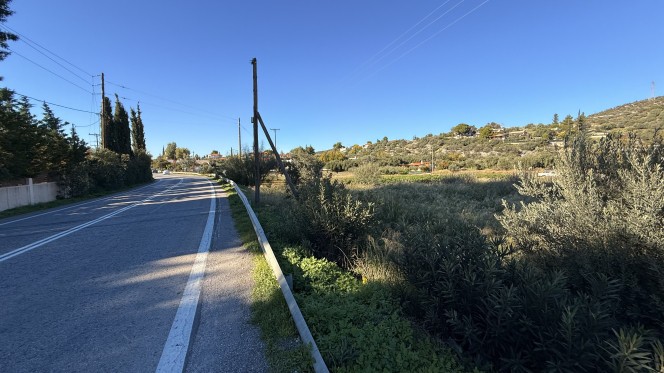 Αγροτεμάχια 6.000 τ.μ. πρός πώληση, Εύβοια, Ερέτρια