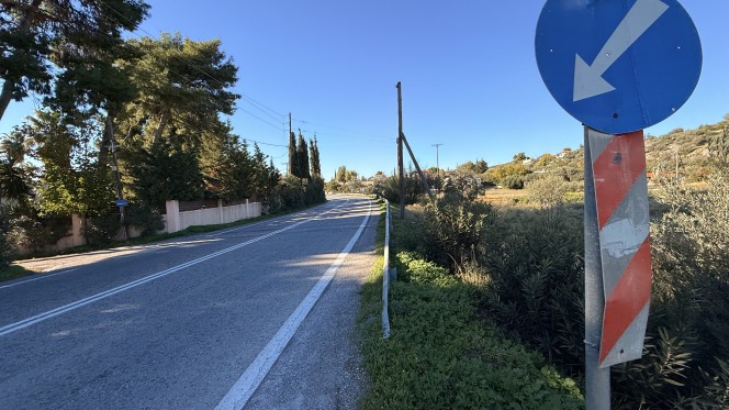 Αγροτεμάχια 6.000 τ.μ. πρός πώληση, Εύβοια, Ερέτρια