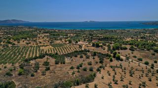 Αγροτεμάχια 2.054 τ.μ. για πώληση, Αργολίδα, Κρανίδι-thumb-4