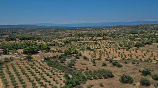 Αγροτεμάχια 2.054 τ.μ. για πώληση, Αργολίδα, Κρανίδι-thumb-10