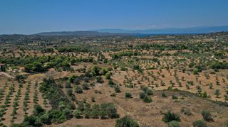 Αγροτεμάχια 2.054 τ.μ. για πώληση, Αργολίδα, Κρανίδι-thumb-9