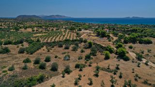 Αγροτεμάχια 2.054 τ.μ. για πώληση, Αργολίδα, Κρανίδι-thumb-8