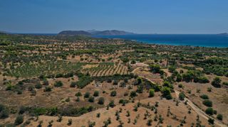 Αγροτεμάχια 2.054 τ.μ. για πώληση