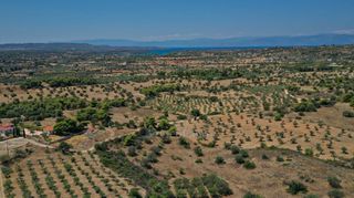 Αγροτεμάχια 2.054 τ.μ. για πώληση, Αργολίδα, Κρανίδι-thumb-11