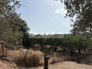 Οικόπεδο 2.065 τ.μ. για πώληση