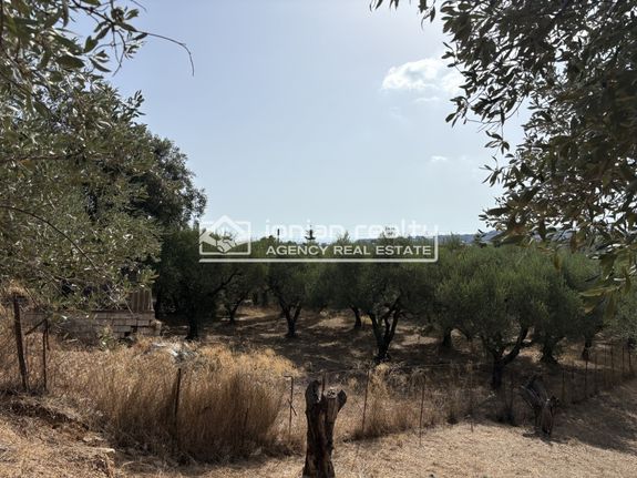Οικόπεδο 2.065 τ.μ. για πώληση, Ζάκυνθος, Αρκάδι
