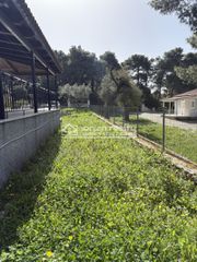 Μονοκατοικία 77 τ.μ. για πώληση, Ζάκυνθος, Αρτεμίσιο-thumb-17