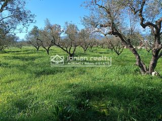 Οικόπεδο 4.200 τ.μ. για πώληση