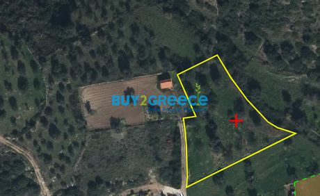 Parcel 2.894 sqm for sale