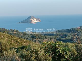 Αγροτεμάχια 8.500 τ.μ. για πώληση