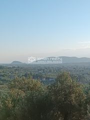 Οικόπεδο 10.000 τ.μ. για πώληση