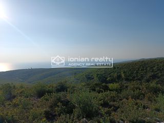 Αγροτεμάχια 4.300 τ.μ. για πώληση