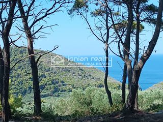 Οικόπεδο 6.017 τ.μ. για πώληση