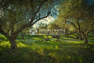 Οικόπεδο 3.382 τ.μ. προς πώληση, Άγιος Δημήτριος Αλυκών-thumb-5