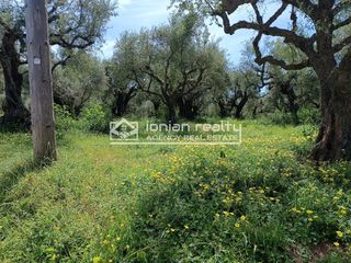 Οικόπεδο 1.500 τ.μ. για πώληση