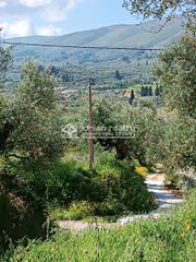 Οικόπεδο 8.500 τ.μ. για πώληση