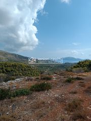 Οικόπεδο 38.000 τ.μ. για πώληση