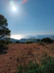 Οικόπεδο 5.500 τ.μ. για πώληση