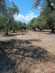 Οικόπεδο 3.000 τ.μ. για πώληση