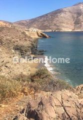 Αγροτεμάχια 10.050 τ.μ. για πώληση
