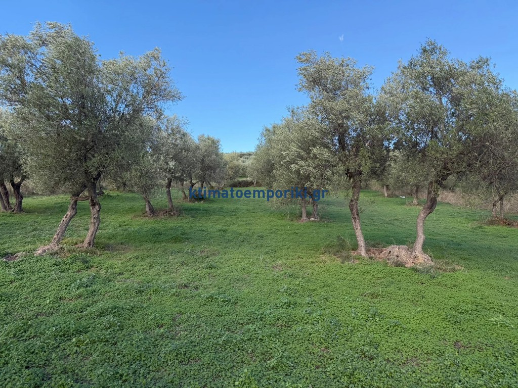 Οικόπεδο 1.730 τ.μ. προς πώληση, Άγιοι Πάντες Φρε
